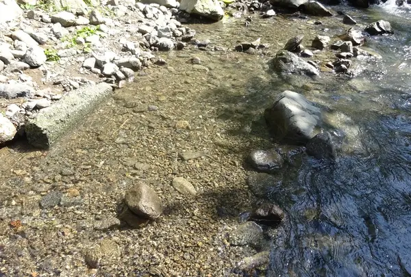 静岡市清水森林公園やすらぎの森の写真・動画_image_43366