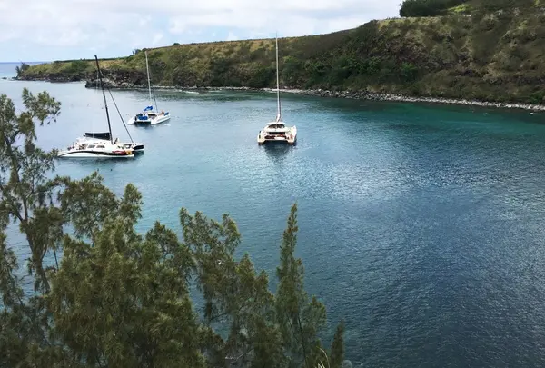 崖から見下ろせます