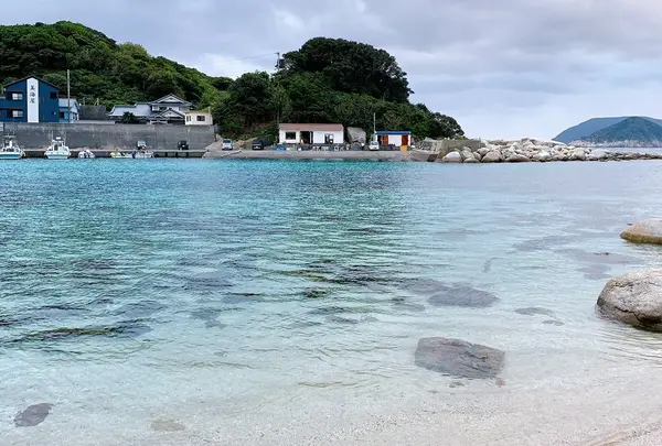 柏島の写真・動画_image_437157