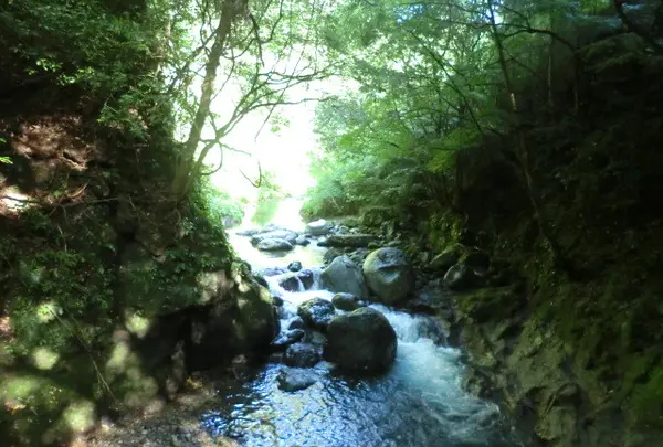天安河原の写真・動画_image_4390