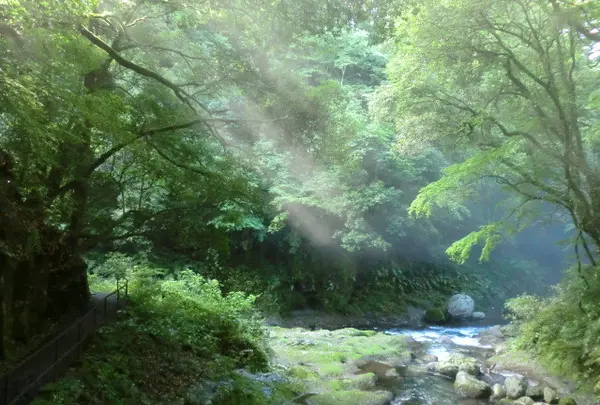 天安河原の写真・動画_image_4394