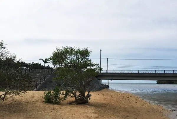 アクセス最高