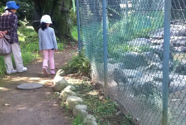桐生が岡動物園の写真・動画_image_44721