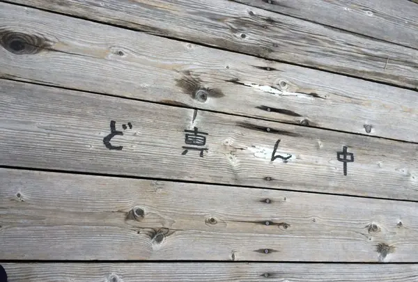 ど真ん中来ました。