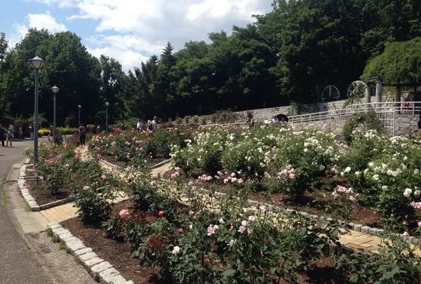 花博記念公園鶴見緑地の写真・動画_image_44885
