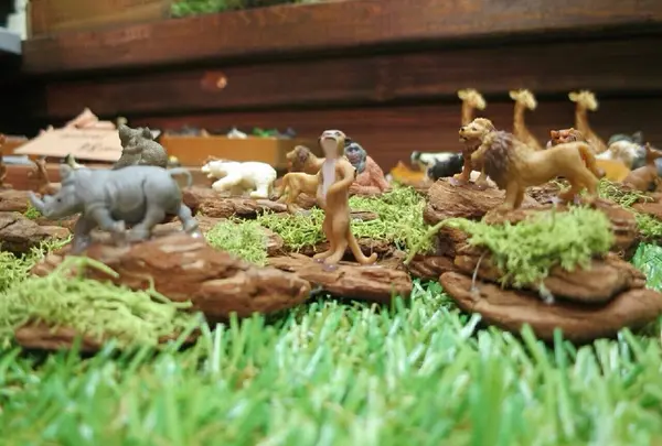 ミーアキャット