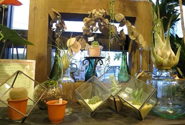 イカしたアイテム