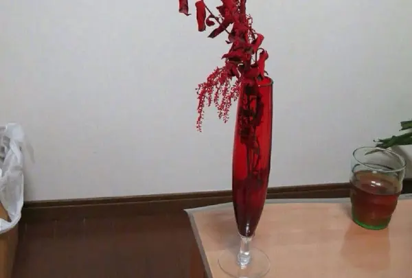 カウンター裏にあった