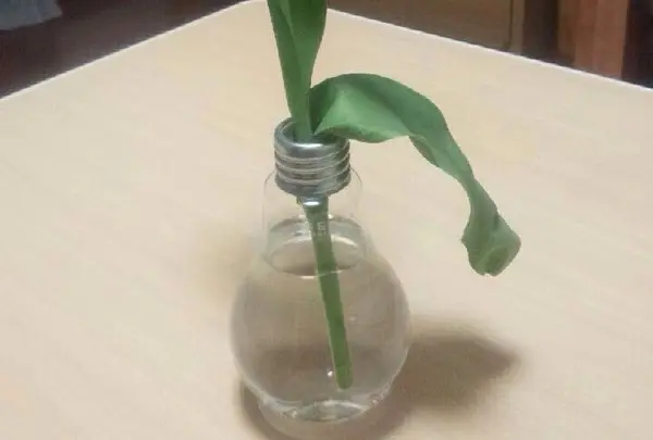 プレゼントした