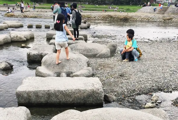 鴨川デルタの写真・動画_image_45841