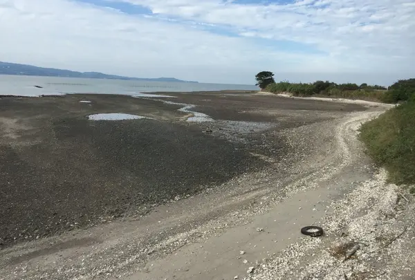 海岸沿い