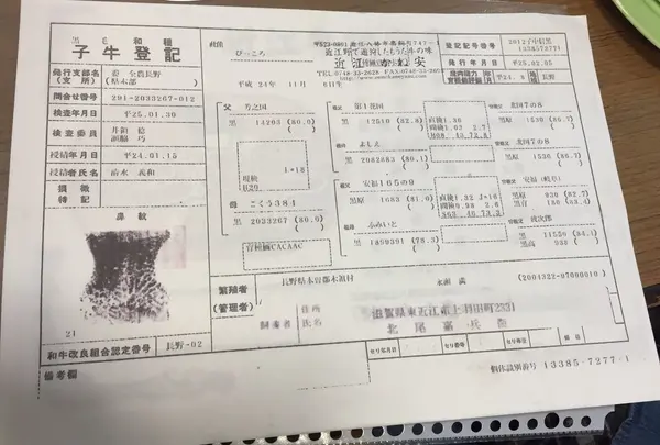 近江かね安の写真・動画_image_46090