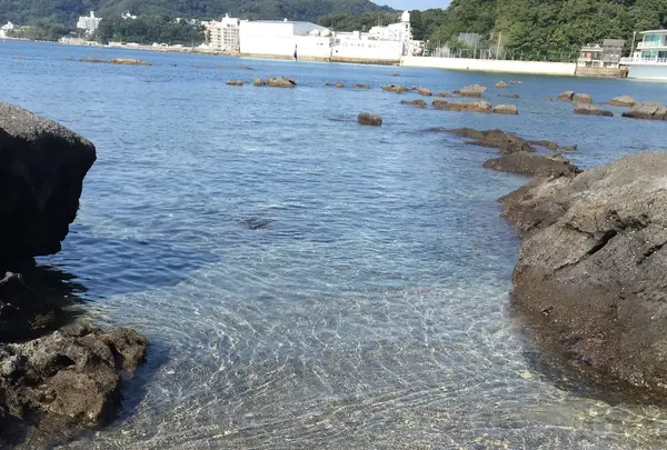 天神島臨海自然教育園の写真・動画_image_46134