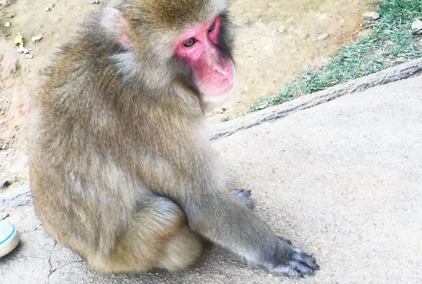 警戒心なし（笑）