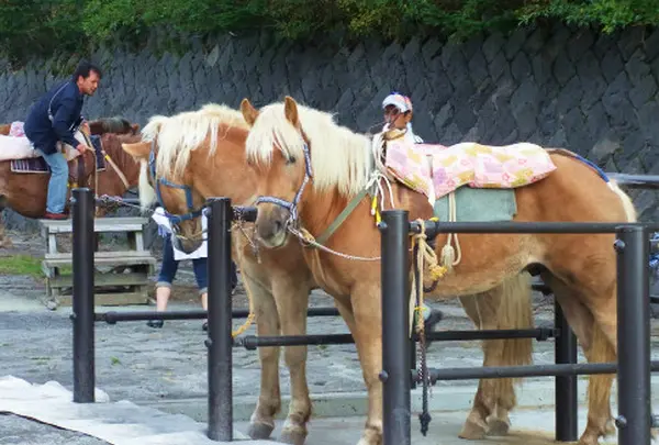 乗馬乗り場