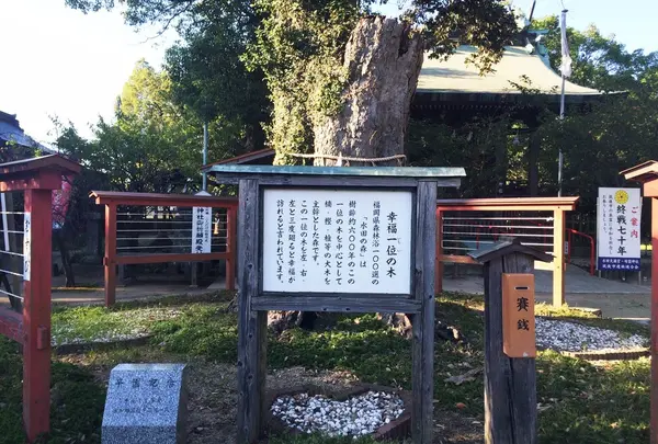参拝終えたら、