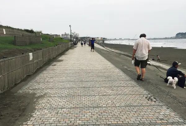 散歩・ランニングなど・・・