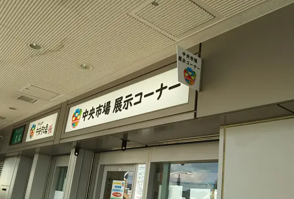 中央市場　展示コーナー