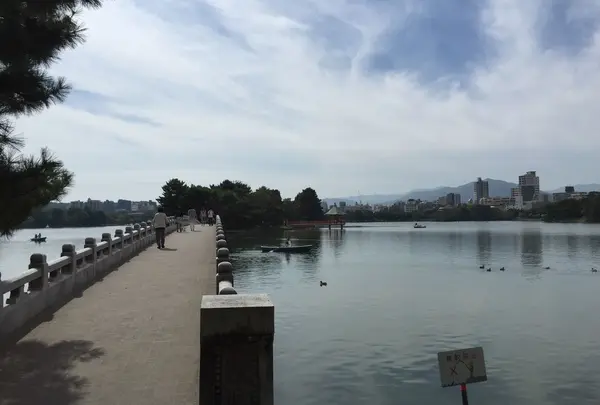 大濠公園の写真・動画_image_47470
