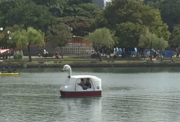 スワンボート