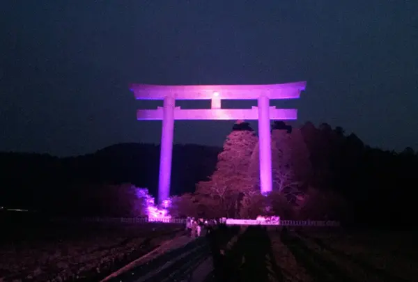 ライトアップ