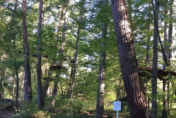 リゾナーレ八ヶ岳の林