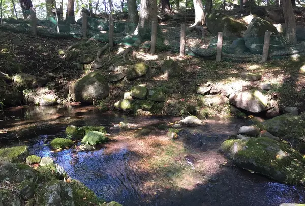 湧き水