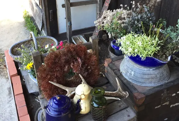エンガワカフェの写真・動画_image_47849