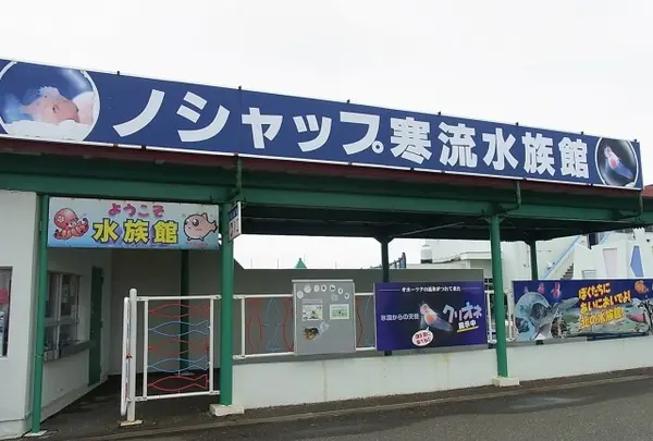 ノシャップ寒流水族館