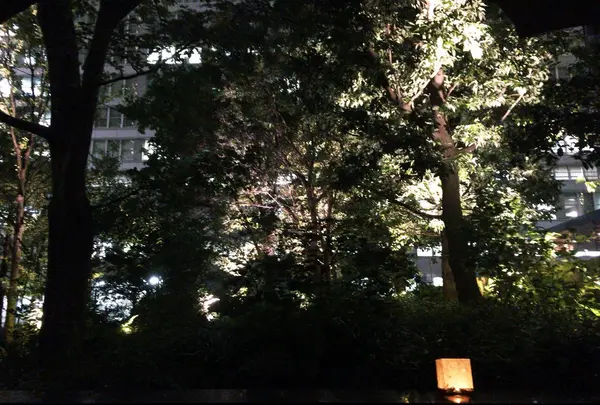 夜