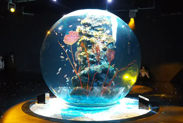 海のきらめきと広がり
