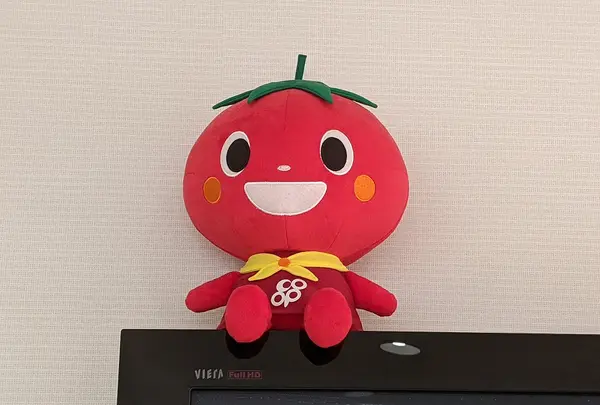 コーすけ