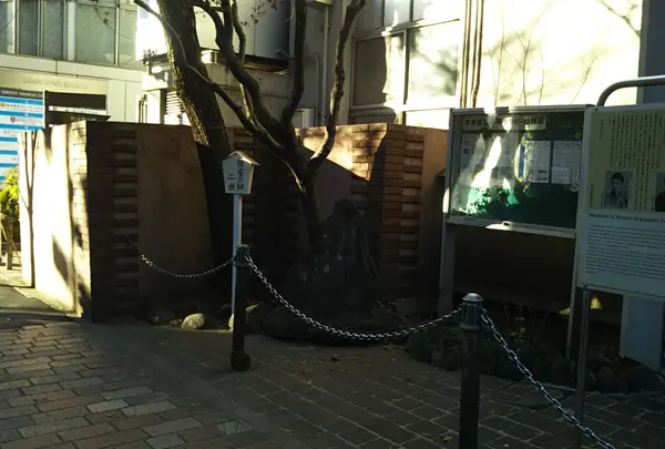 銀座の柳　二世