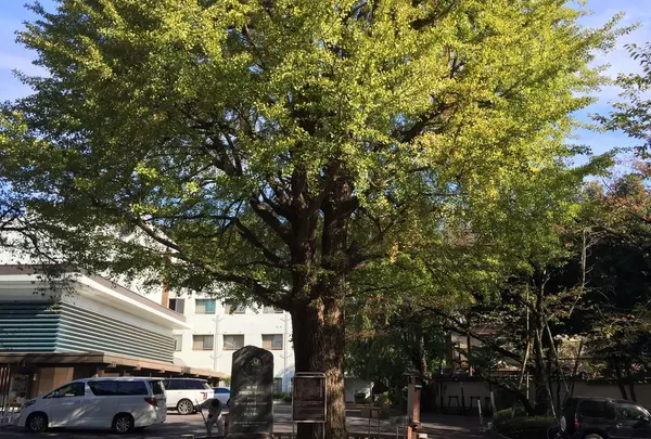 善福寺の写真・動画_image_49346