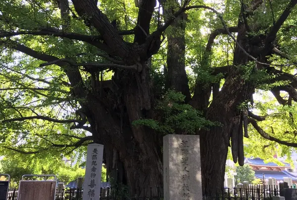 善福寺の写真・動画_image_49350
