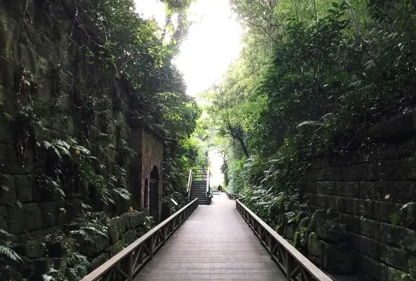 猿島の写真・動画_image_49395