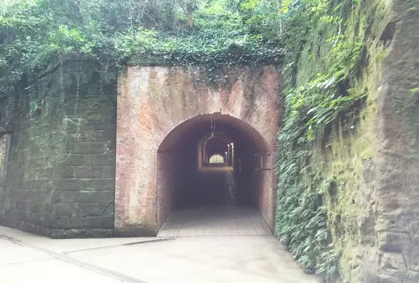 猿島の写真・動画_image_49398