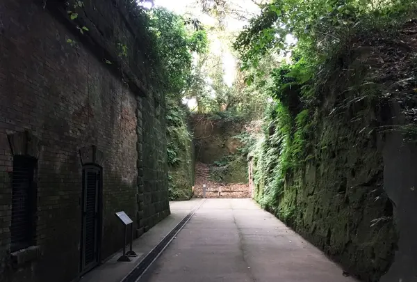 猿島の写真・動画_image_49399