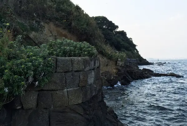 猿島の写真・動画_image_49403