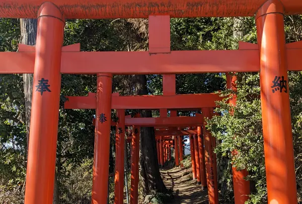 烏子稲荷神社の写真・動画_image_497140