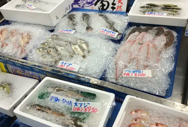 新鮮な魚も！