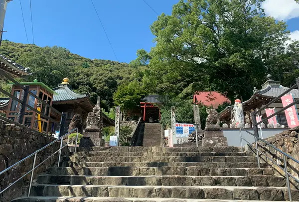 龍光寺（第４１番札所）の写真・動画_image_500785