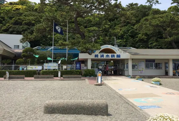 桂浜水族館