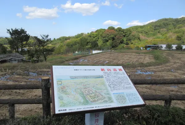 大市
