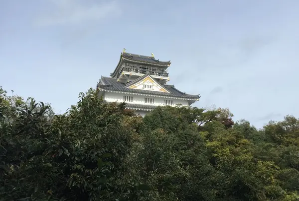 見上げる天守