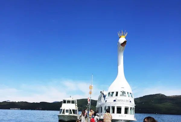 山中湖一周遊覧『白鳥の湖』の写真・動画_image_50432