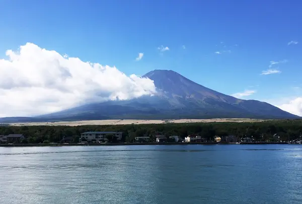 山中湖一周遊覧『白鳥の湖』の写真・動画_image_50434
