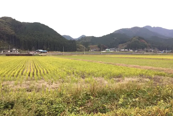 千手山公園の写真・動画_image_50645