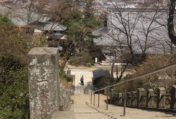 少林山達磨寺の写真・動画_image_51592