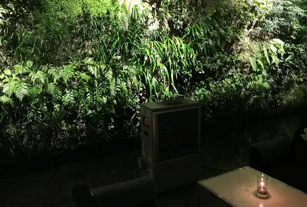 テラス席